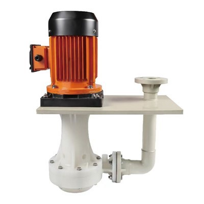 Àcid i resistent alcalí en -bomba vertical -bloquejada